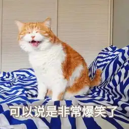 自从养了猫,从此再也不愁没表情包了