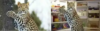 能p出如此搞笑的图片,没点脑洞是不行滴
