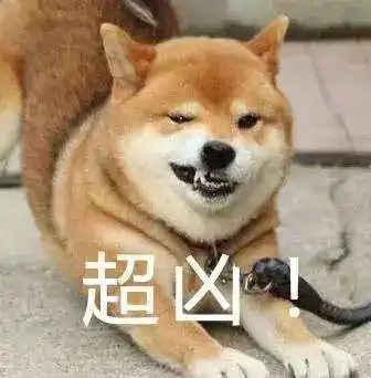 微笑大使柴犬一族源自中华田园犬的治愈系萌宠表情包上线指南