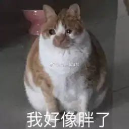 爷爷体验年轻人爱吃的食物一本正经的样子太可爱了