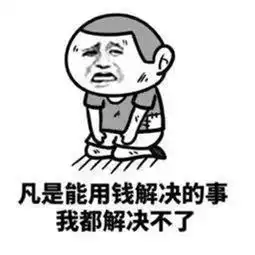 入乡随俗的特斯拉