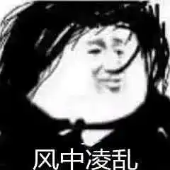 平平无奇女研究生本来应该写论文