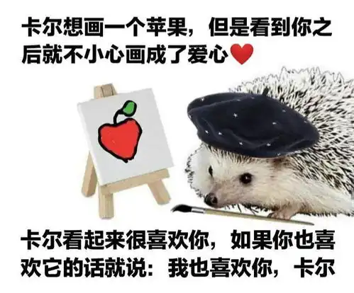 最近很火的刺猬卡尔是什么梗超全表情包来啦