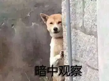 第一次当爹的柴犬不知道怎么跟孩子交流,于是它采用了最简单的交流方式......