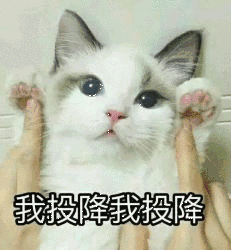 不用表情包,你还能正常聊天吗