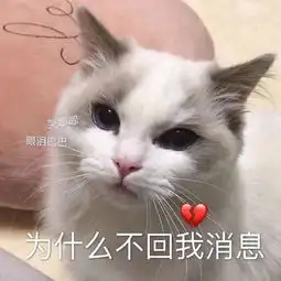 斗图表情包你懂我意思
