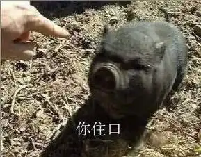 你这头山猪表情包
