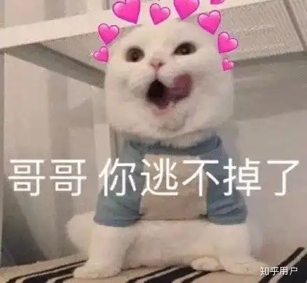 有哪些可以哄男朋友开心的表情包