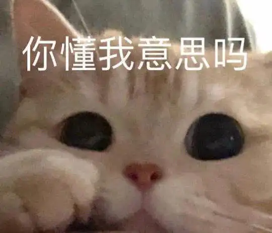 沙雕表情包第十二期你懂我的意思么