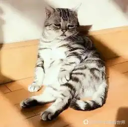 译眼看世界