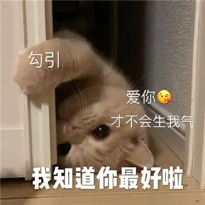一组哄对象用的表情包哄男朋友必备的小表情