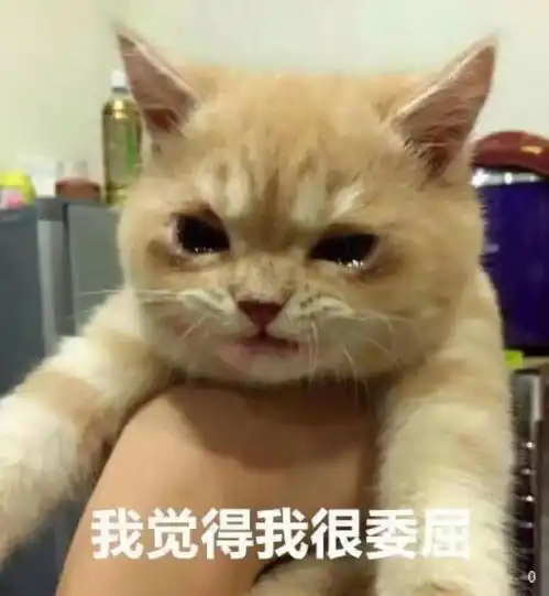 有哪些专用于撩妹撩汉的表情图