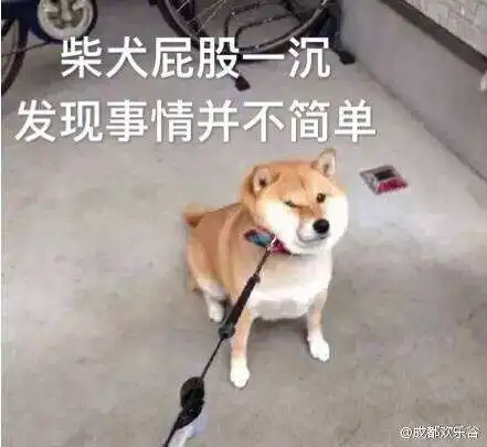 我决不原谅苏大强