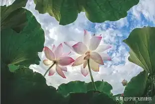 何必远去云南浙里私藏了7座绝美山寨,清明节自驾超赞