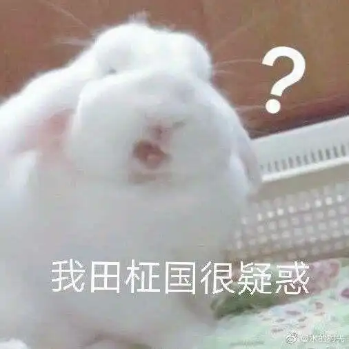 哈哈哈哈哈哈