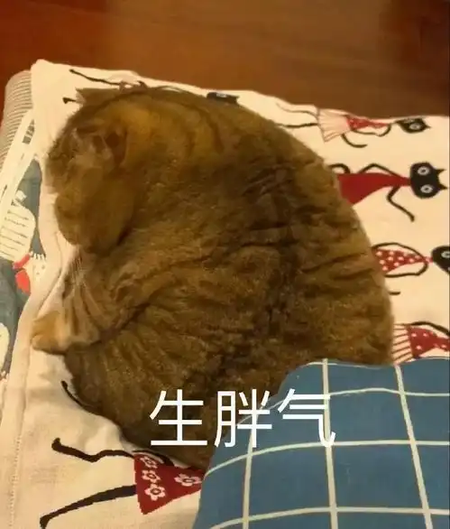 怎样发朋友圈可以变成朋友们的快乐源泉