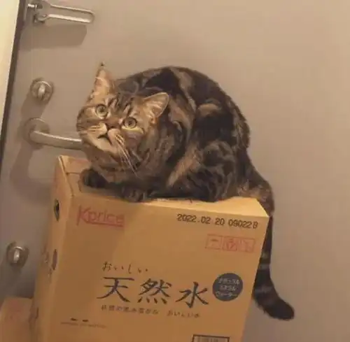 图集老外防范新冠病毒的硬核建议