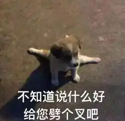 所以我今天到底穿不穿秋衣秋裤