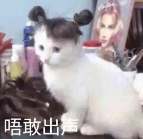 刚开学,老师点名点得撕心裂肺新生名单曝光,令人崩溃