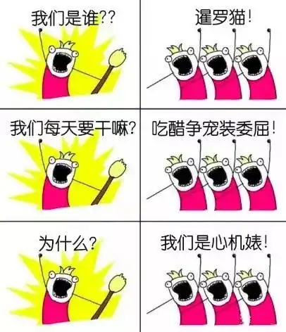 原来猫每天干的事都是这些....我竟不得不服....