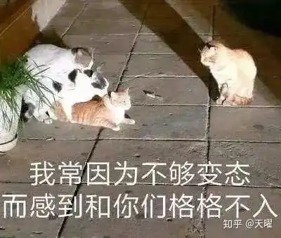 剧本杀测评丰田烧烤屋18禁黄暴主题本