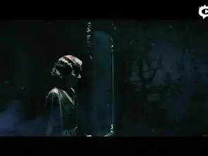 林心如现身成都戏称常见表情包尔康