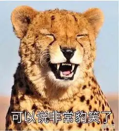 cncap碰撞三星且投诉成灾的猎豹还能吃鸡