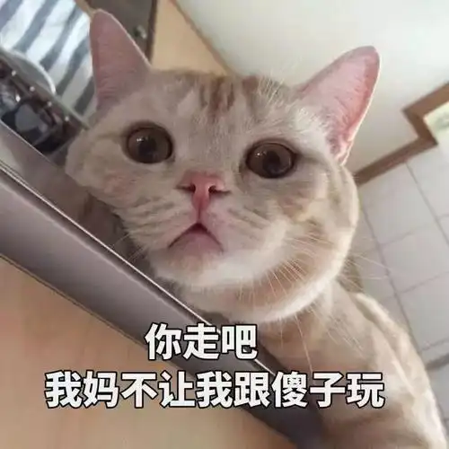 开心一笑nv小偷说道不要报案,我让我家提亲,小伙答应了