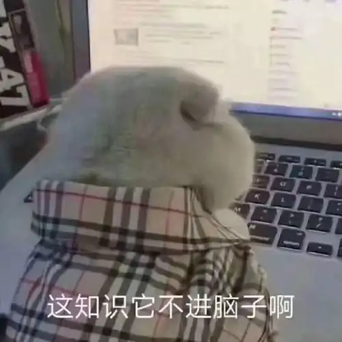 脑子进咸鱼了