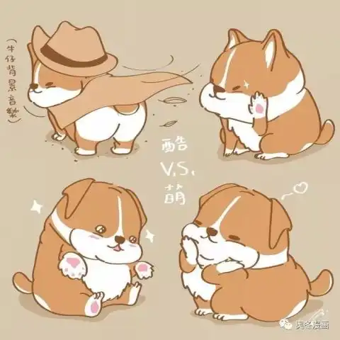 肥嘟嘟的柯基飘飘,萌翻少女心