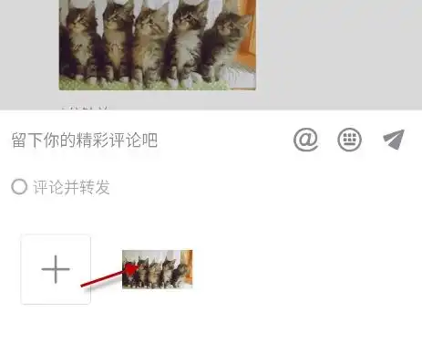抖音5只猫摇头表情怎么发