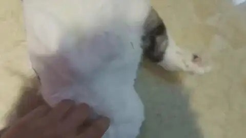 没暖气的冬天你会找谁暖被窝小姐姐有了它后便一脚踢开了男朋友