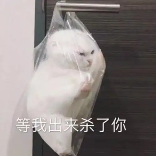 为了押韵,网友真是什么都造的出来哈哈哈看完笑喷