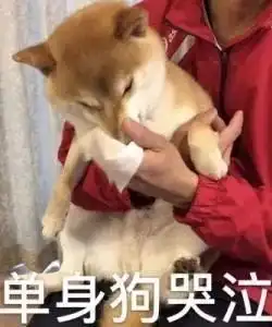 看偶像剧不如看狗仔偷拍贴脸接吻摸头杀,这才是真的甜