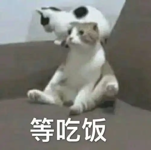 沙雕表情包爱情它哪有干饭香