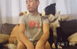 每日一笑,一觉醒来,突然发现身边多了个妹子