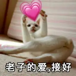 撩妹表情包请和我交往吧发誓爱你一辈子