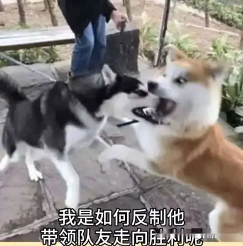 今天教大家如何打爆边路插秧王马超