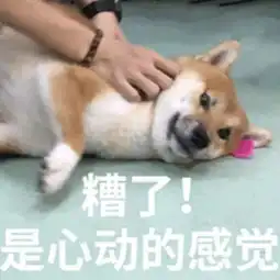 元培体育元皮足球美男子鉴赏指南上