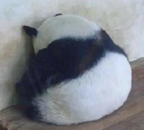 给大家分享一组搞笑的表情包