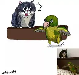 这位灵魂画手,把猫主子们都画成了超搞笑的表情包真是笑死人不偿命