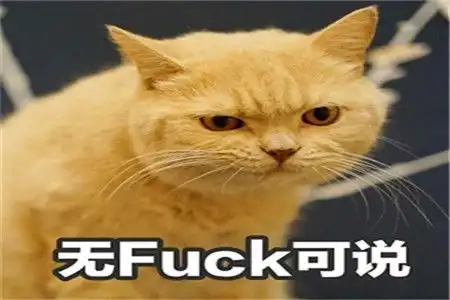 幽默笑话得知媳妇怀的是个女孩,我开心的三天没睡着觉
