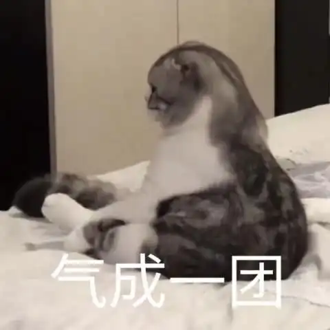 表情软萌猫咪表情包,用它和男票撒娇,隔着屏幕都是甜腻的味道表情