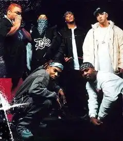 求一些黑人hiphop男歌手的照片