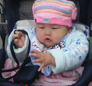房子里的房子