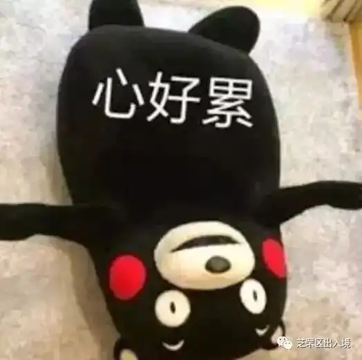 华人妹子刚来悉尼,就因这个疏忽被坑600刀澳媒曝光悉尼竟是重灾区50的人都中过招