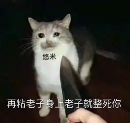 大批玩家投票驱逐巴德和悠米,玩家看见他们心态爆炸