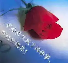 听说这些是中老年最爱用的表情包又污又精神污染
