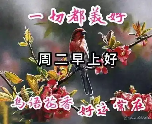 最新漂亮的周二早上好问候表情包,好运常在,一切都美好