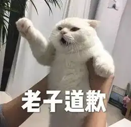 黄晓明,九亿少女的梦